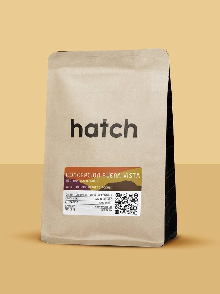 hatch - Concepcion Buena Vista