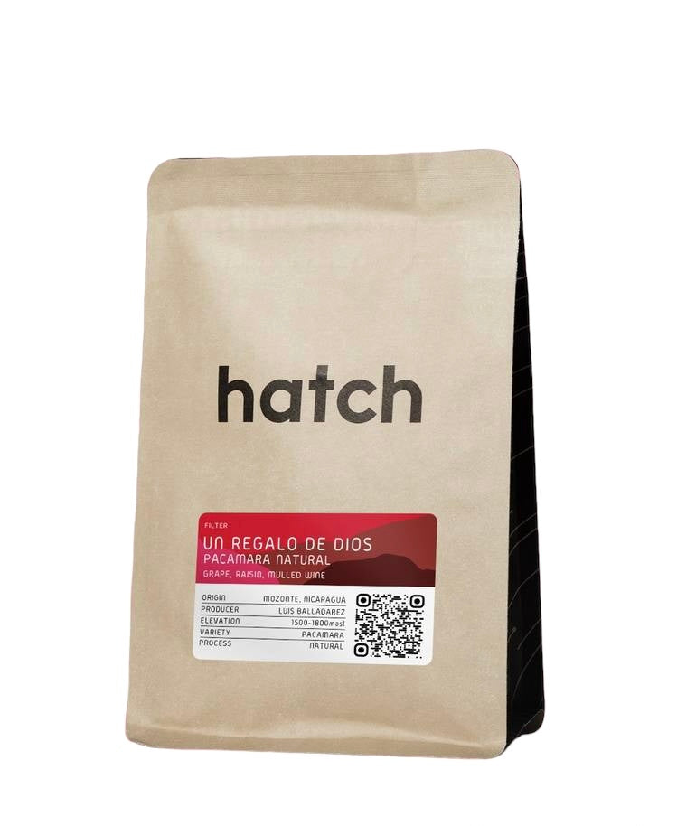 hatch - Un regalo De Dios Pacamara Natural