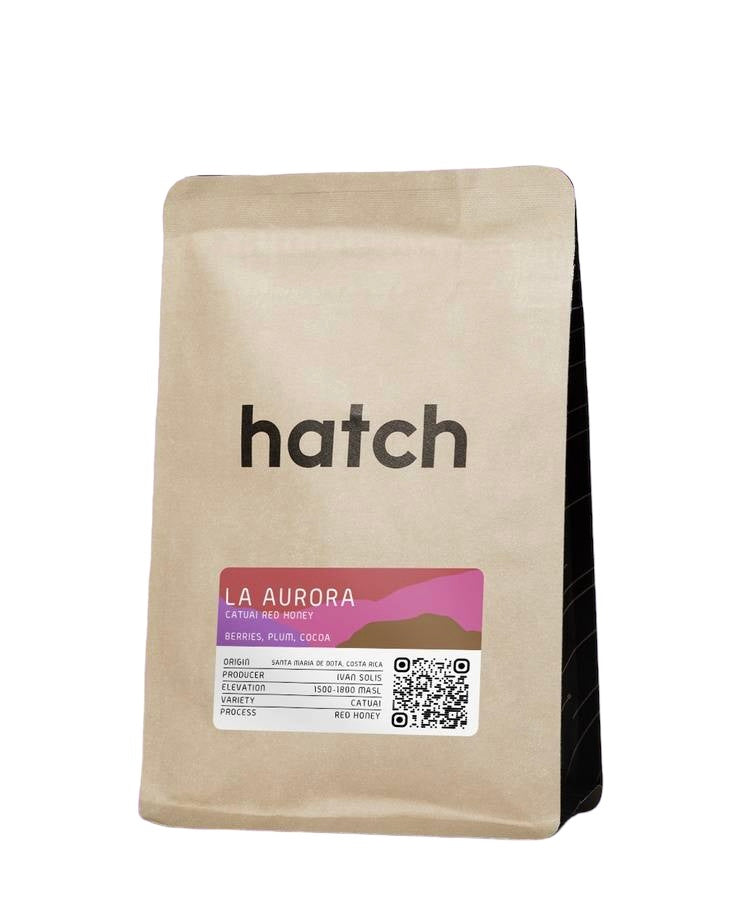 hatch - La Aurora